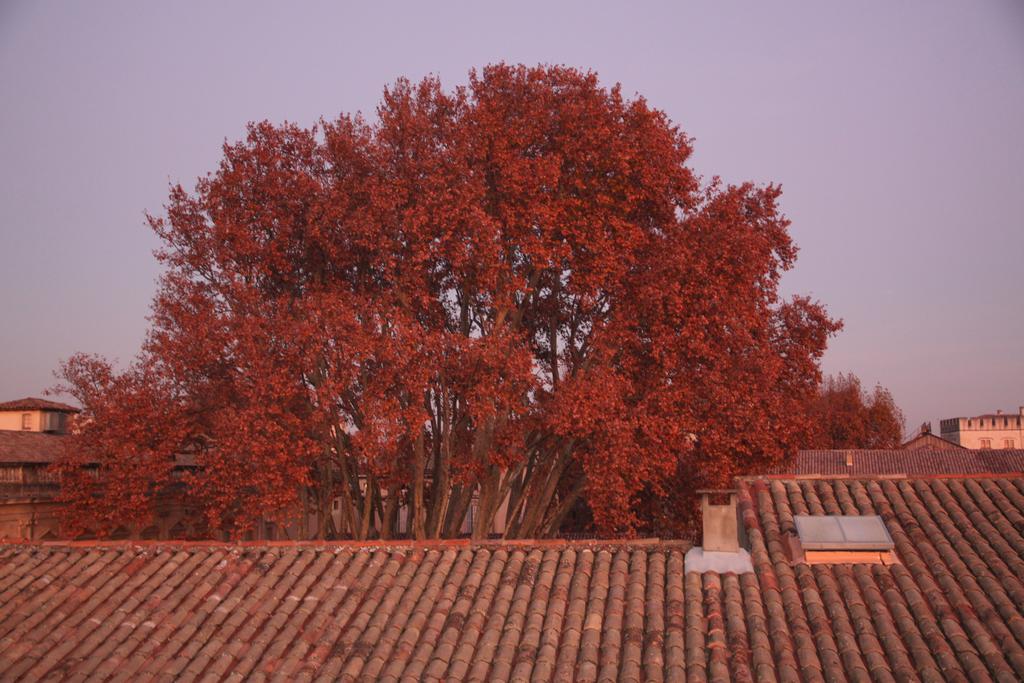 A La Terrasse D'Avignon Apartment Luaran gambar